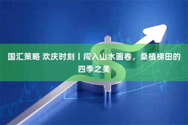 国汇策略 欢庆时刻丨闯入山水画卷，桑植梯田的四季之美