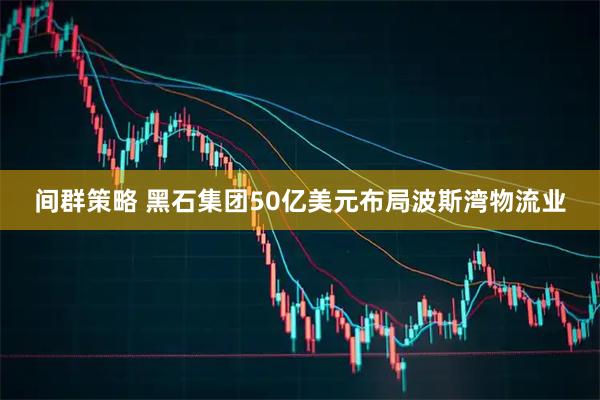 间群策略 黑石集团50亿美元布局波斯湾物流业