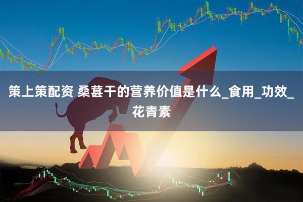 策上策配资 桑葚干的营养价值是什么_食用_功效_花青素