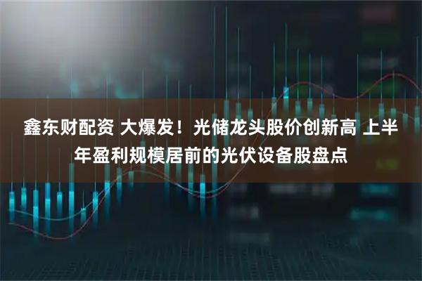鑫东财配资 大爆发！光储龙头股价创新高 上半年盈利规模居前的光伏设备股盘点