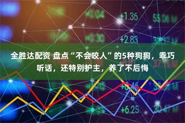 全胜达配资 盘点“不会咬人”的5种狗狗，乖巧听话，还特别护主，养了不后悔